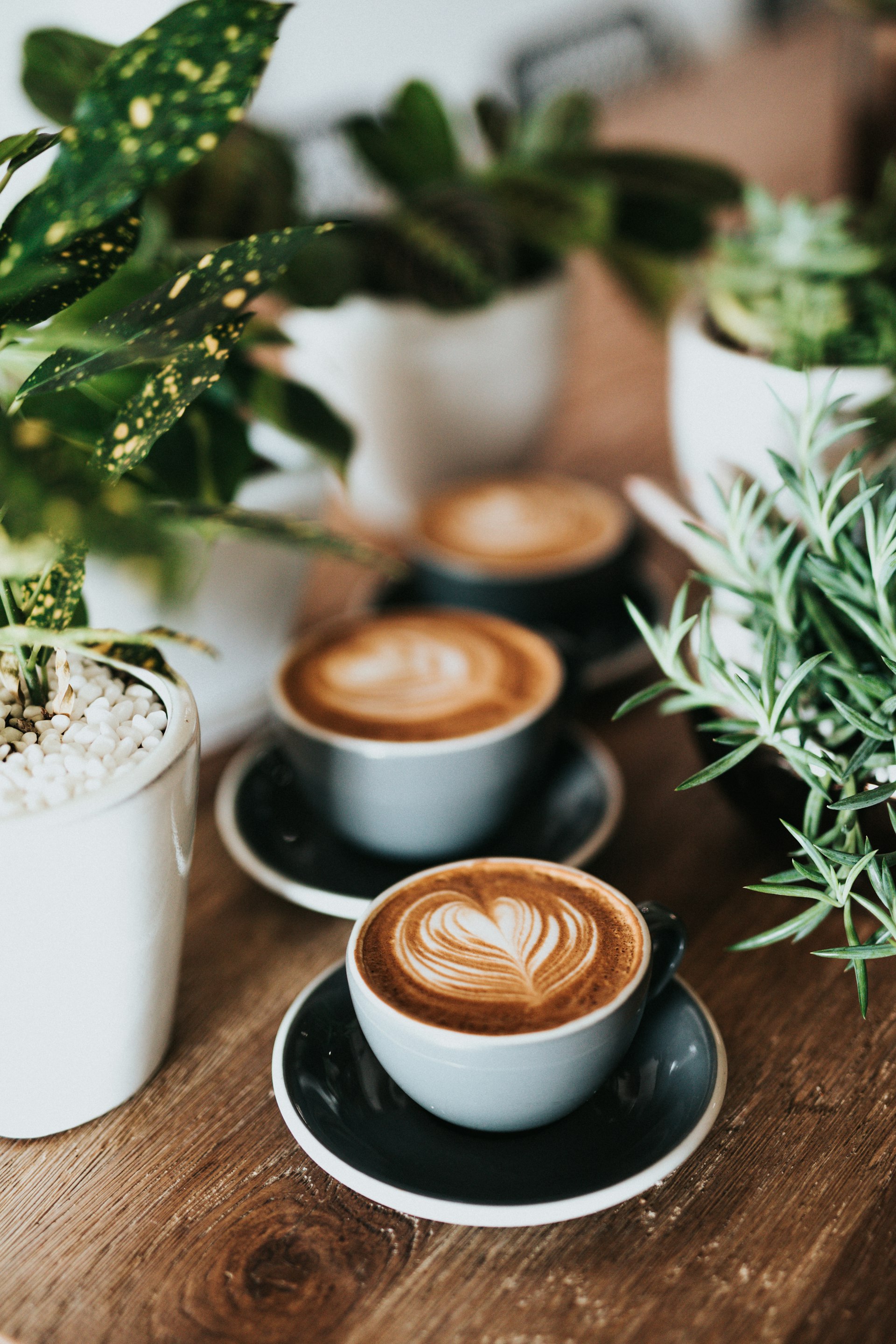麻总coffee